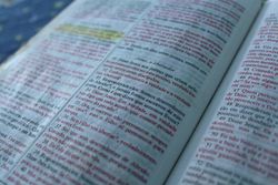 Errais, não conhecendo as Escrituras e a Deus. Mt 22.29